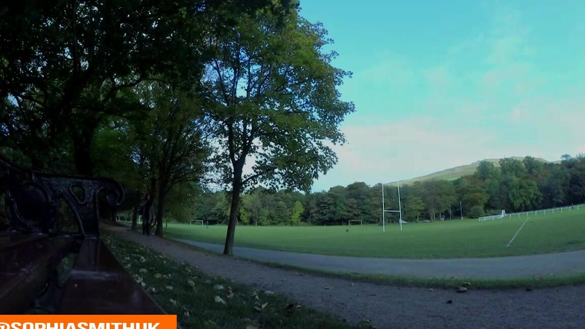 Sophia Smith A Trip To The Park