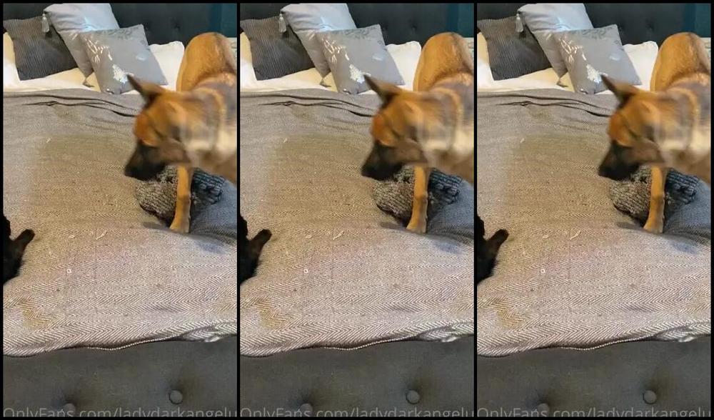 Ladydarkangeluk Onlyfans She Just Wants To Play