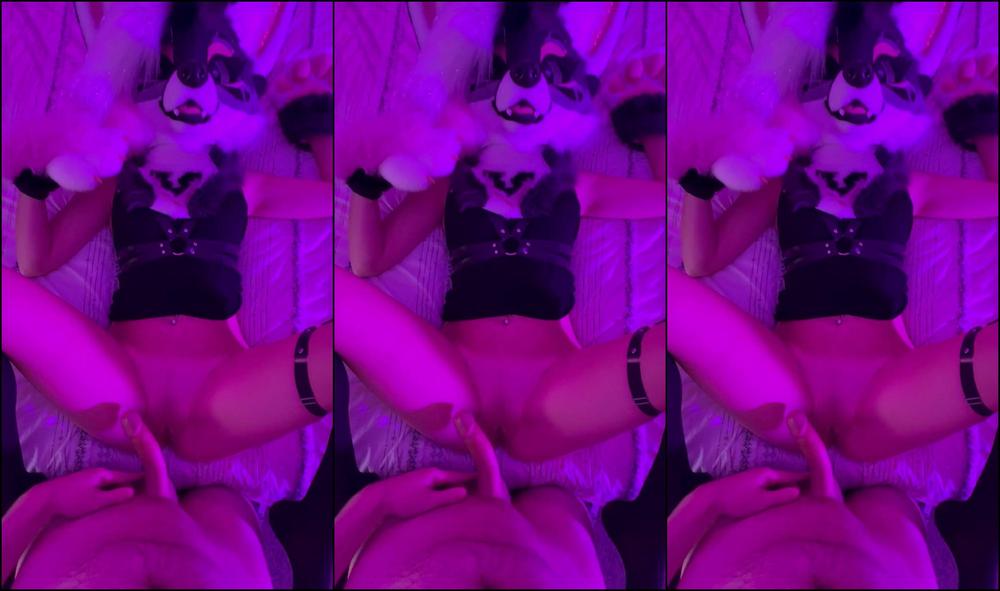 Angel Pups 915535056 The Band Always Invites Me Backstage After The Show 01 0Hmduy2Kjvq2Bvfisll8O Source