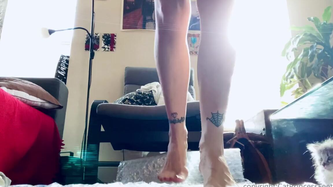 Catprincessfeet Onlyfans Walking On Huge Bubble Wrap Few Bare Ass Flashes Asmrmore In Ur Dm 2