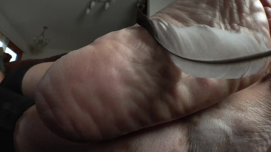 Hfw Disliking Of A Feather 2Ndp