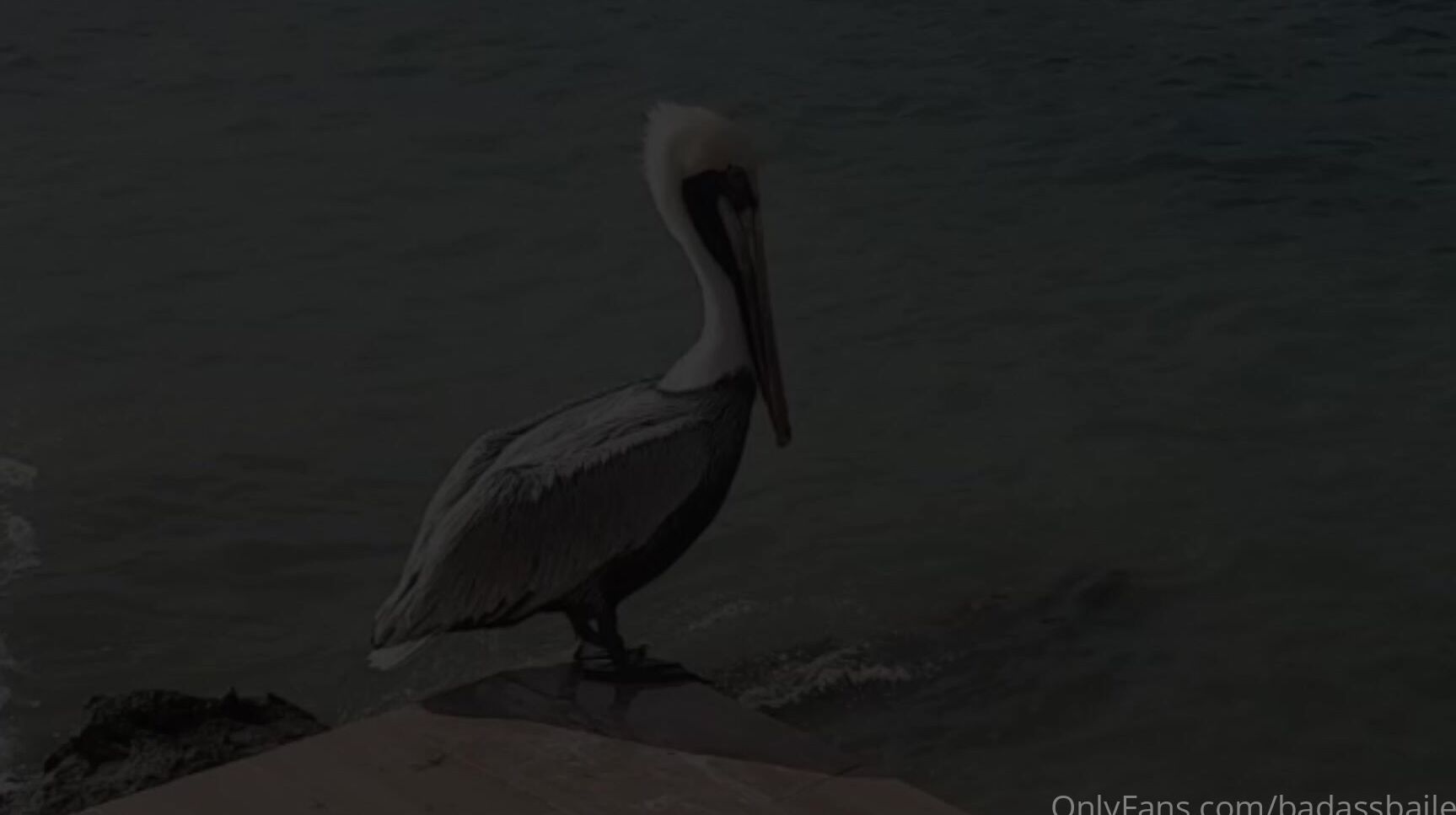 Badassbaileybae Interview Continued Out Of Question What Are You Like