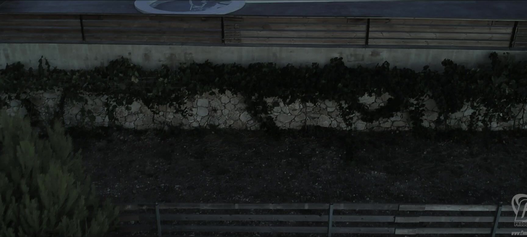 Christinacarter The Next Release