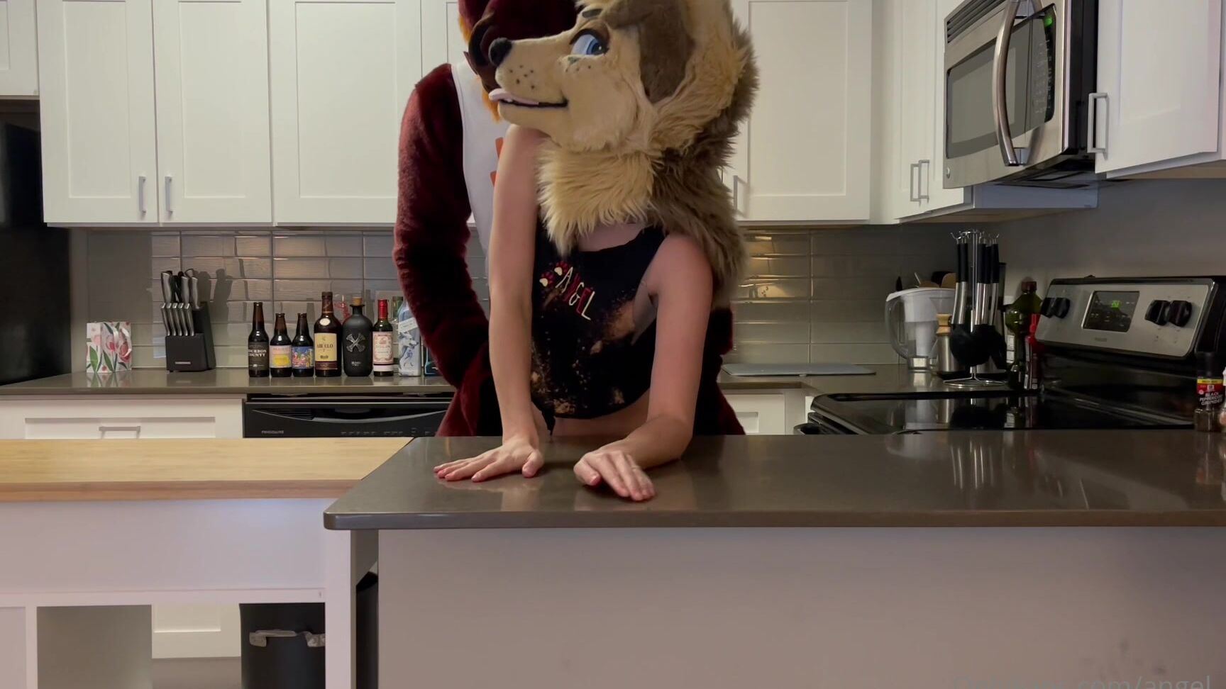 Angel Pups 1237825077 Happy Throwback Sunday Looks Like Angels Hooking Up With Th 01 0Gz29Iyz5I8Hc2Ln9Ux0F Source