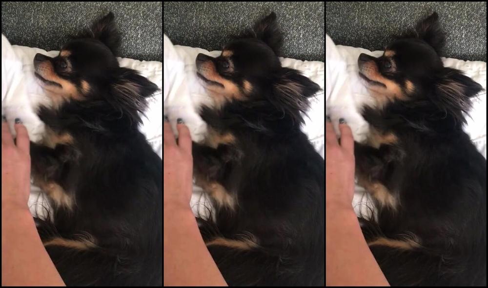 Biancabeauchamp 2018 01 14 Mf0Gua4H5Qabrywchgzx7Nydxflalglr