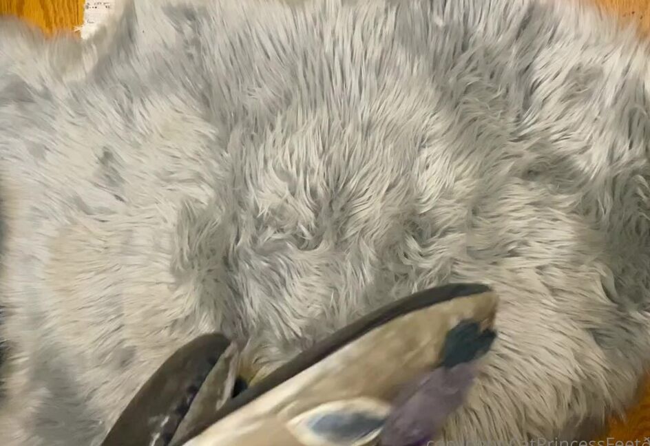 Catprincessfeet Onlyfans Slipper Removal Part 2
