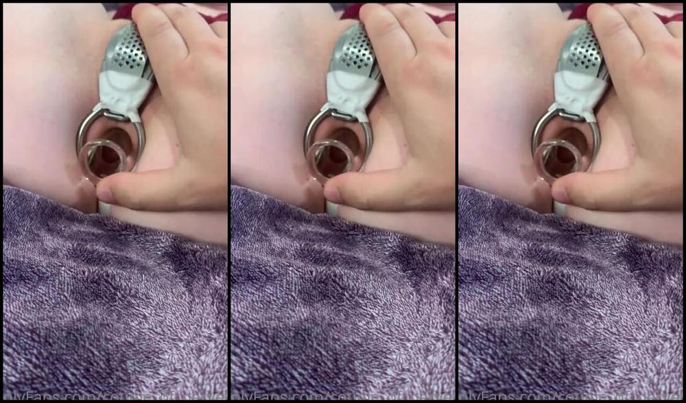 Couple Of Perverts Aka Couple Of Perverts Femdom 07 11 2022 Onlyfans Video Master Likes To Tease Me Before I Get His Cock