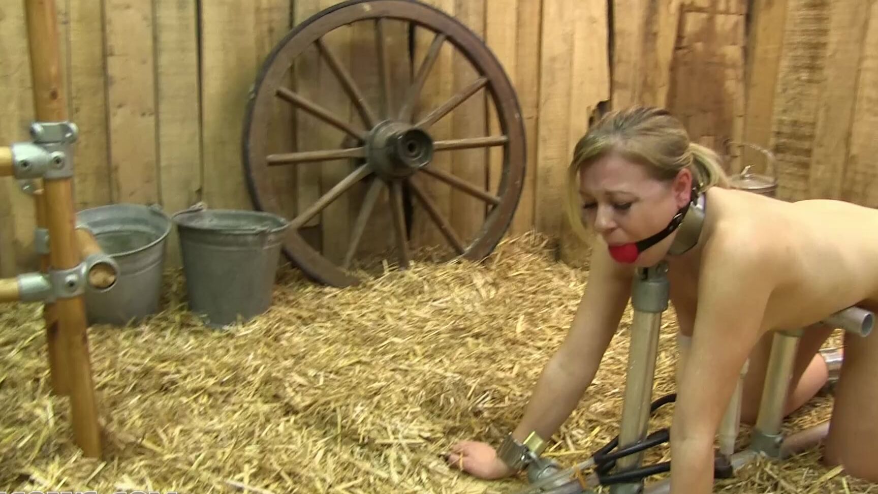 bondage, ballgag, milking machine, nipples clamp Lucy Lauren first time HuCows.com