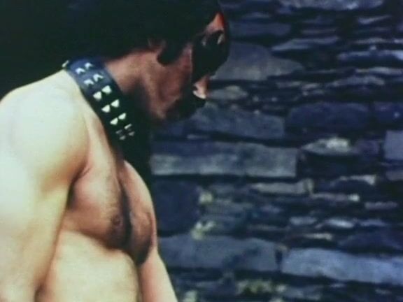 "Jody Maxwell, Terri Hall, Dean Tait, Zebedy Colt, Renee Sanz, Chad Lambert, Nancy Dare, Annie Sprinkle, Rod DuMont" Classic, Horror The Devil Inside Her Taurus Productions