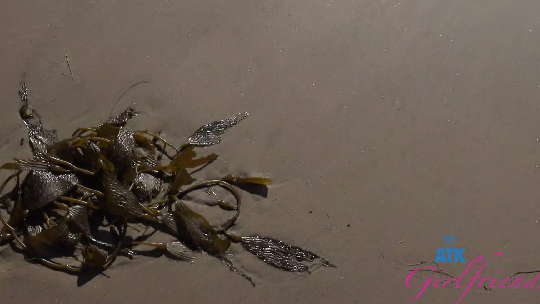 "Selina Imai" Exhibitionism, Blowjob, Fingering, Pissing, Footjob, Handjob, Piercing, Latina, POV, Daddy Selina Imai - Ventura 1 SiteRip