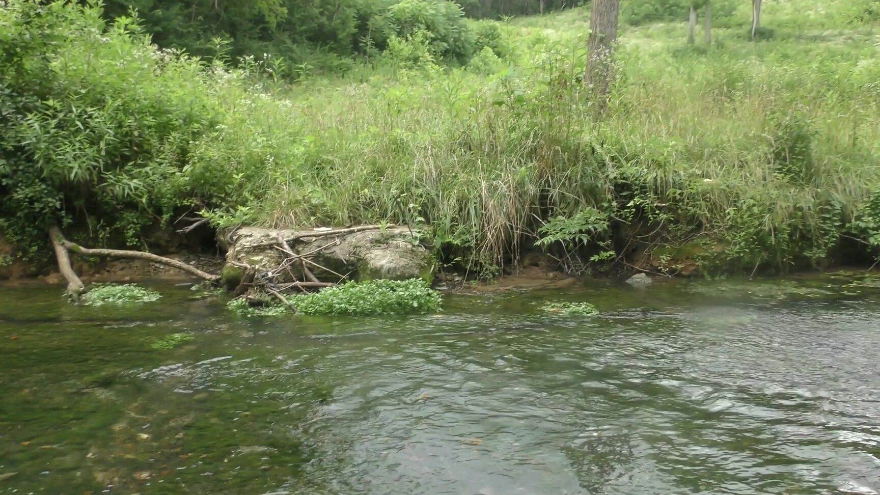 Lovelyliv Free Vid Exploring The Creek