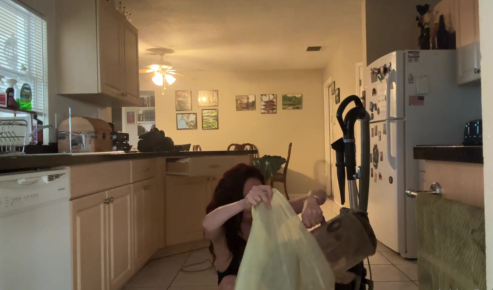 Ashleegraham 3278592905 04 15 2024 Vacuum Clips Brand New