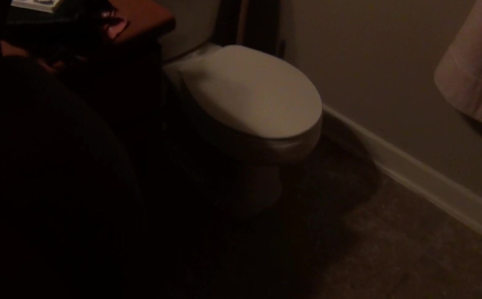 Bathroom sex,Black & Ebony,Ebony,Mirror,Submissive Sluts nikkilatelyxxx sneaky bathroom fuck during a party ManyVids