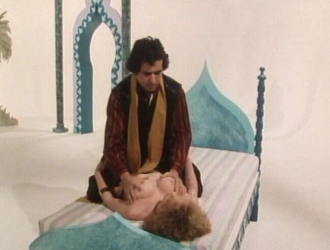 "Nina Hartley, Karen Bree, Alexis Greco, Tami White (as Ariel Daye), Buffy Davis, Bunny Bleu, Jennifer Noxt, Kari Foxx, Keli Richards, Kristara Barrington, Patti Petite, Rayanne Drew, Sandy Summers, Chris Chase (as David Chase), Francois, Jamie Gilli