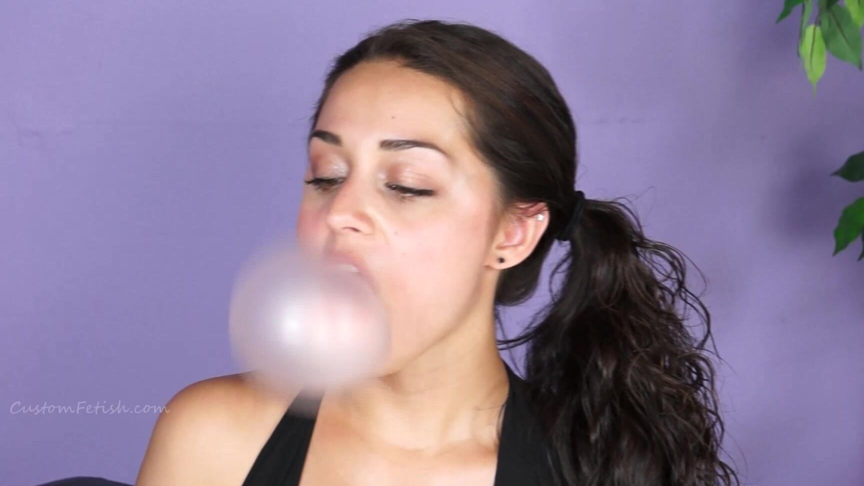 Dahlias Bubble Compilation