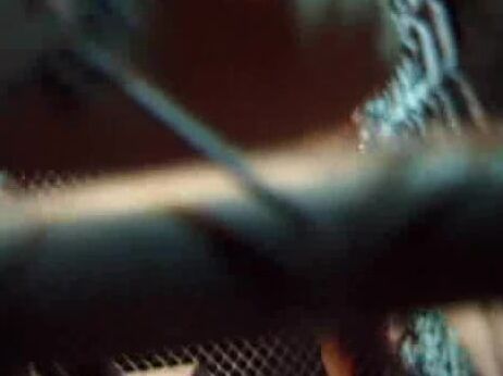 "Alexandra Silk, Alyssa Love, Caressa Savage, Coral Sands, Holli Woods, Monique, Randi Rage, Roxanne Hall, Shawna Edwards, Sindee Coxx, Stephanie Swift, Tiffany Mynx, Tricia Devereaux" LezOnly, Lesbian, AnalToy Femania Elegant Angel