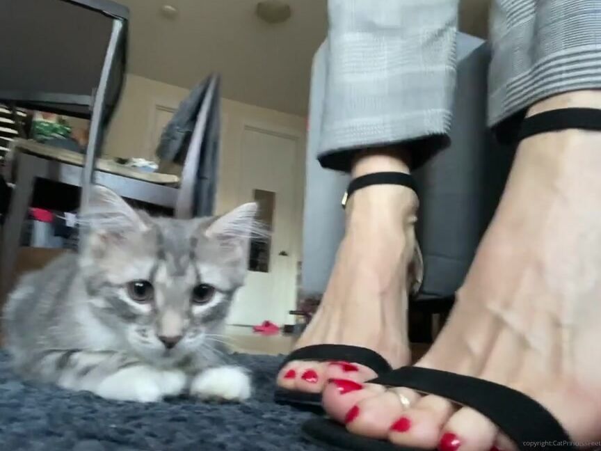 Catprincessfeet Onlyfans Wanna See Me At The Office Tip If Ud Get Dirty Thoughts Heels Set 1 18