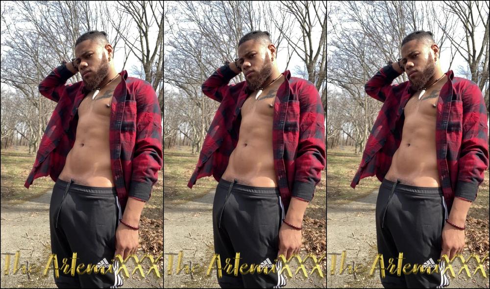 Theartemixxx Wolf In The Woods