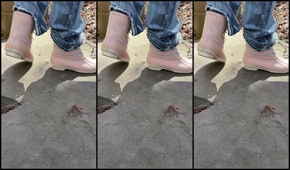 Flirty Paws Nicknamed Flirtypaws Onlyfans One Last Clean Feet Clip Before I Get Dirty Can You Tell Im Still Learning How To Be A E Foot Girl