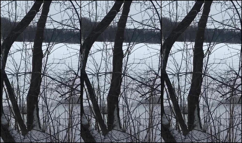 Outdoors, Public Outdoor, Pee, Public Toilet, Toilet Fetish rowen oak desperate outdoor public p-- in the snow ManyVids