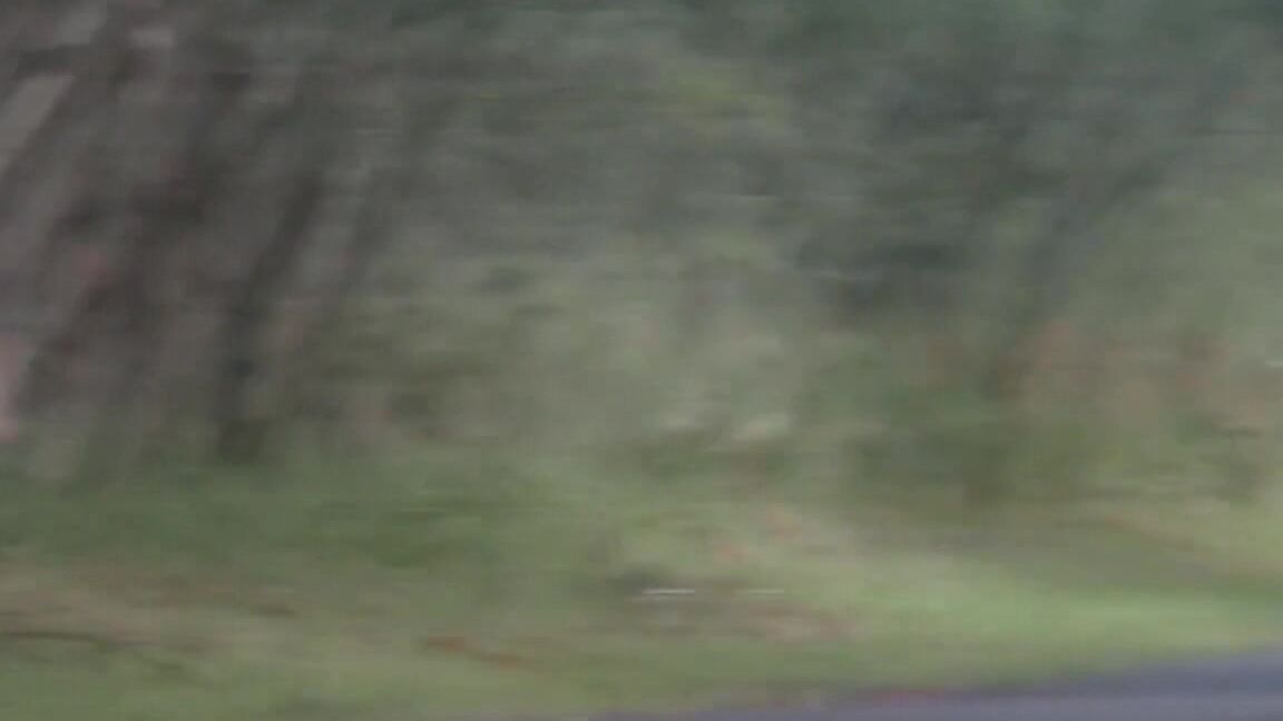 Sweet teen naked on the road Manyvids