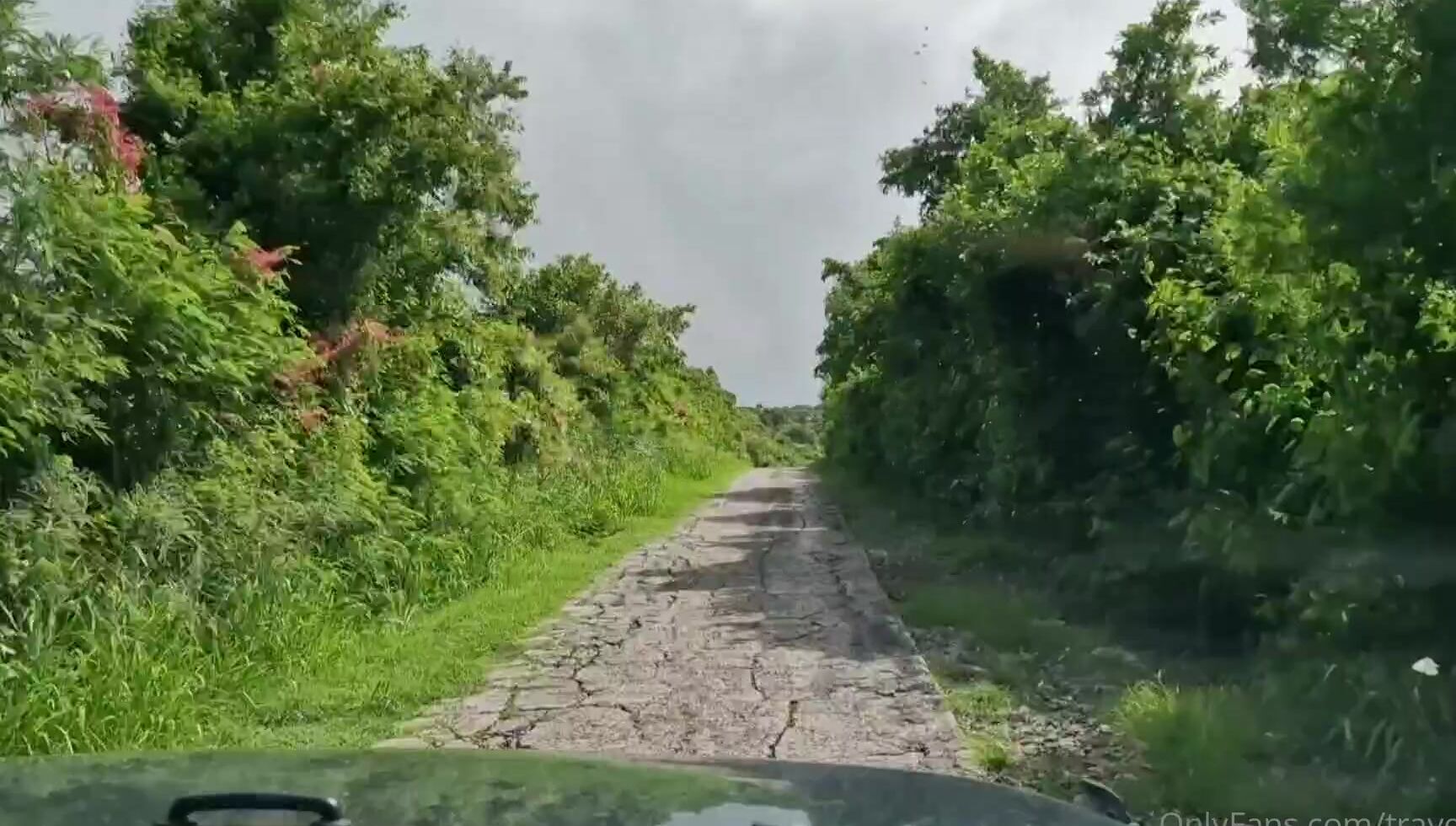 Travelling Peach 3058095403 10 21 2023 Does The Beginning Of The Day Get Repetitive I Think It Does Up Early To Enjoy