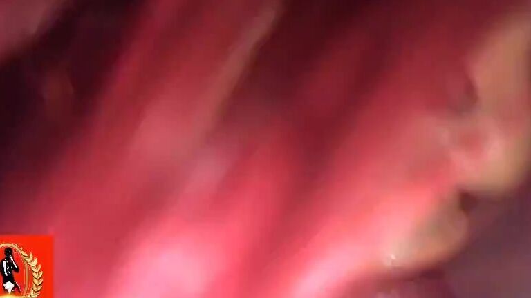 Sexgodpicasso Uber Tranny Suck N The Nut Out Manyvids