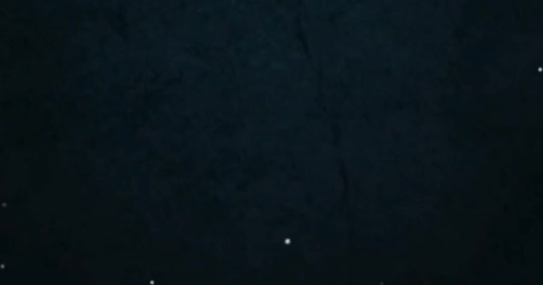 Thebitchwife Onlyfans Making Cuck Suck Cock Because It S Good For Him