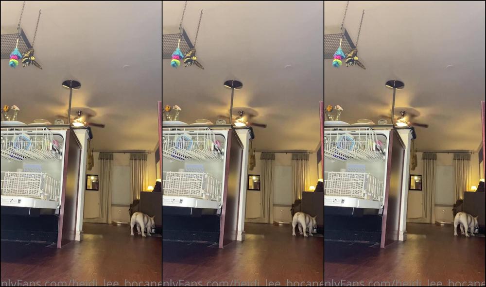 Heidi Lee Bocanegra Red Set Stockings