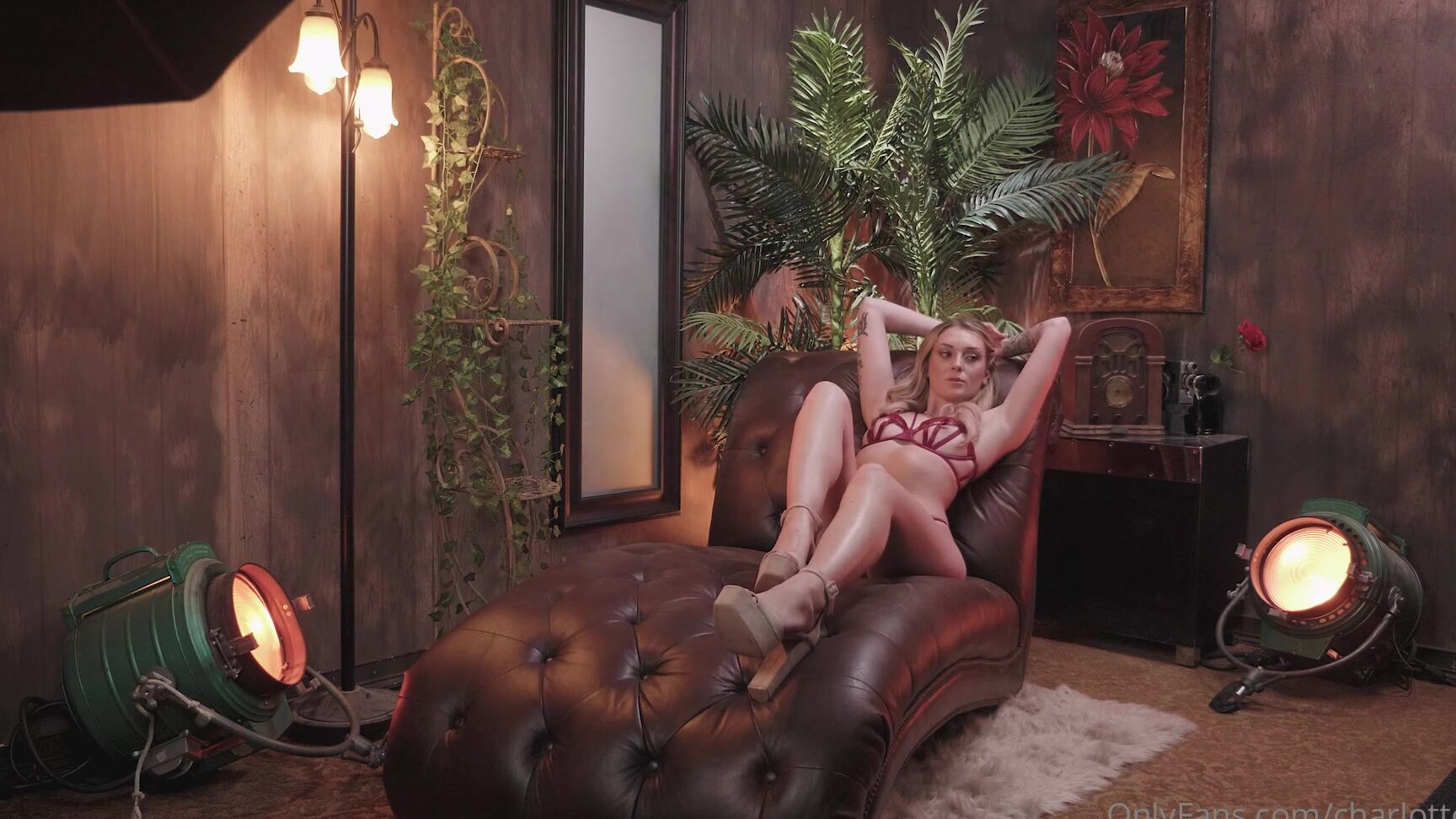 charlottesins-28-12-2021-2303331341-have-you-ever-wanted-to-see