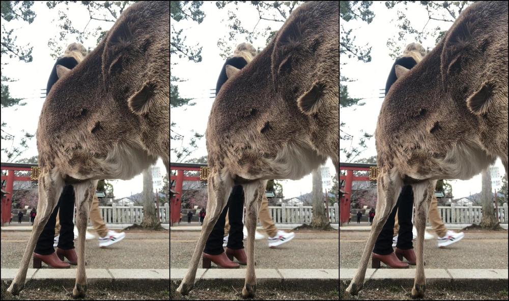 Monawalesxxx 91005516 11 22 2019 Pay Tribute This Morning To Your Goddess Of Nature And Receive A Blessing In Your Inbox