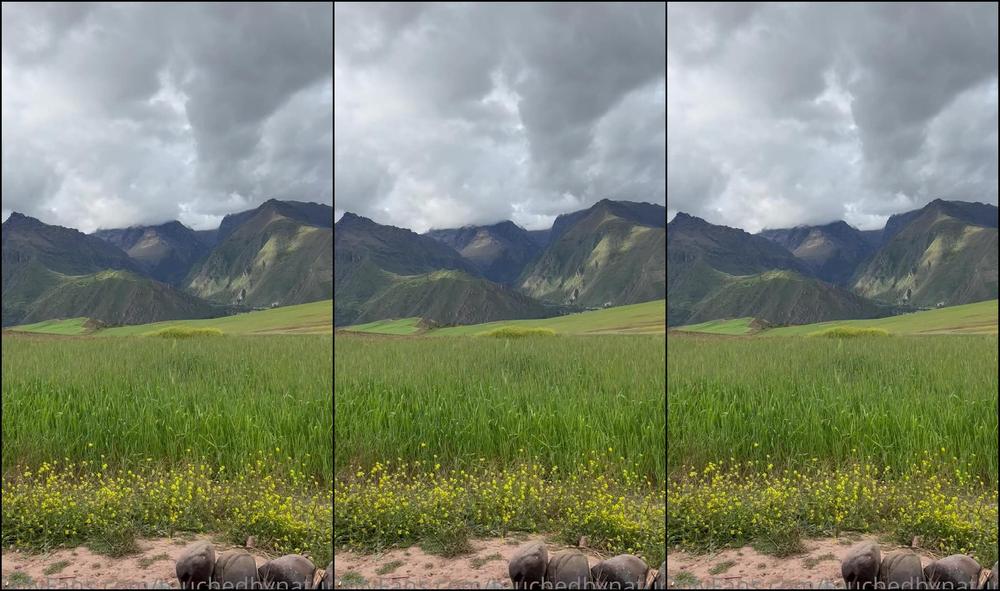 0H65Db84A723Zojc39Vjp Source