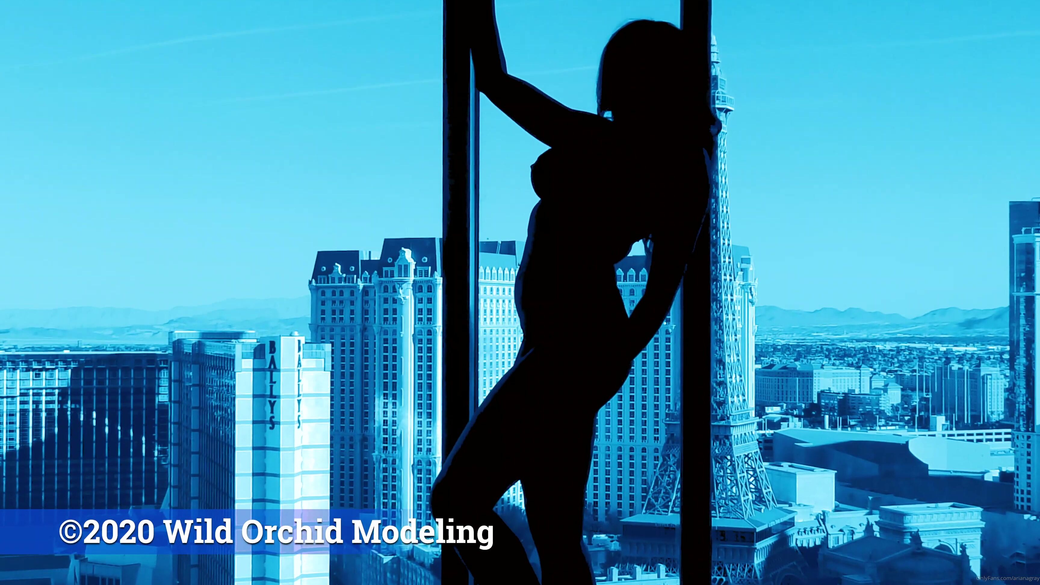 Arianagray Let Me Be Your Fantasy Girl If You Enjoy This Video And Would Like To See Me Live Ha