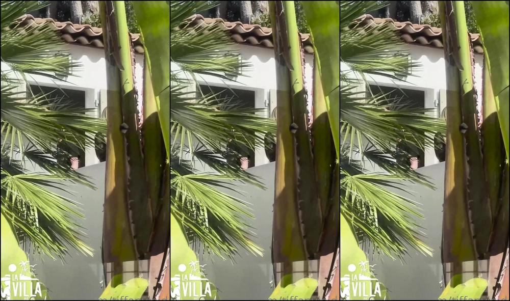 Tiffanyleiddi La Villa De Littleangel Episode Public  Onlyfans XXX