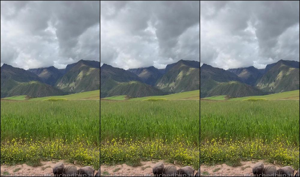 0H1Z9At6Vog3Zb8Uqq3Oe Source