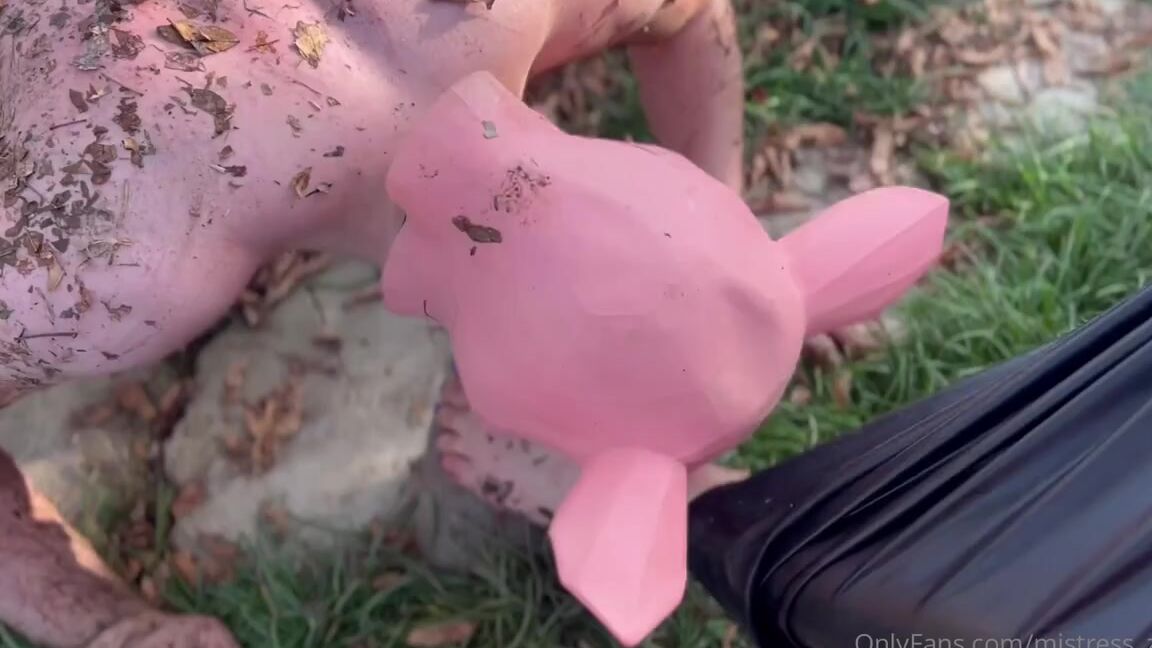 Mistress Zeida Onlyfans Video Lucky Pig Licks The Mud And Dirt From Our Feet
