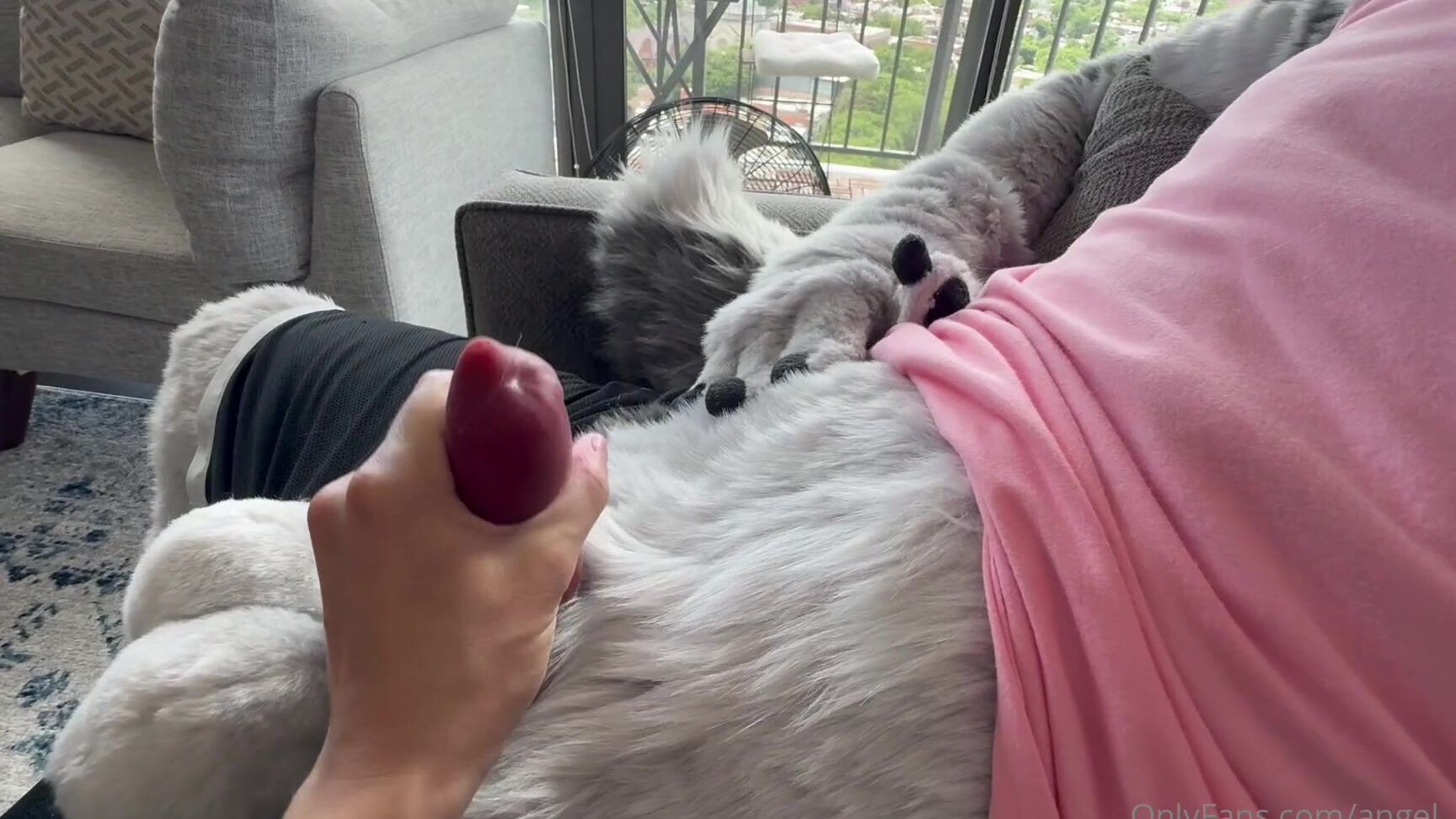 Angel Pups 1145990263 Hanging Out And Your Wolf Bro Gives You The Look 02 0Hr946L55Hue868Gvqiny Source