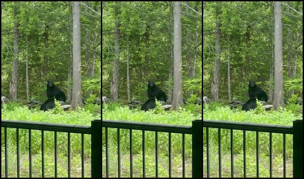 Longtoesally Nicknamed Longtoesally Stormy 06 13 2025 Onlyfans Video This Was Moments Before Going Out To Finish Sunbathing