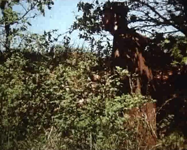 "Uschi Karnat (as Ursula Karnat), Gerda Klein, Elvie Heidmann, Patricia Eggert" Classic, All Sex Die Superbumser SiteRip