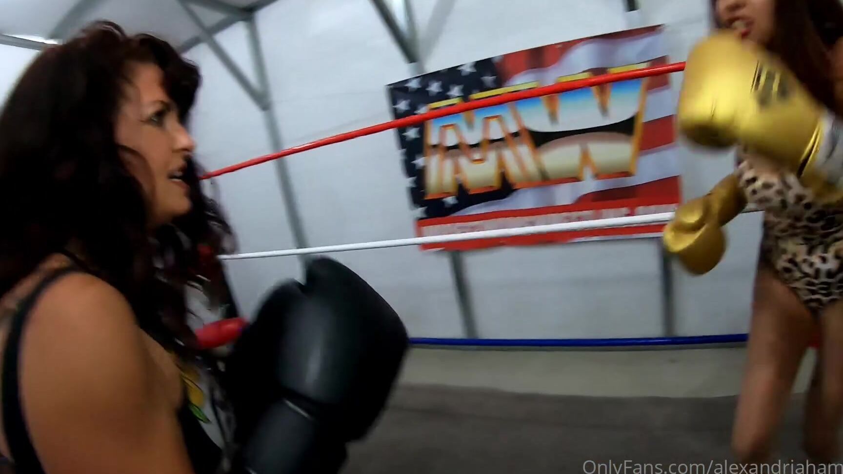 Alexandriahamilton 1469934141 12 17 2020 On The 5Th Day Of Clipsmas Best Jobber Gave To You Jezabel The Boxer Feat Jezabel