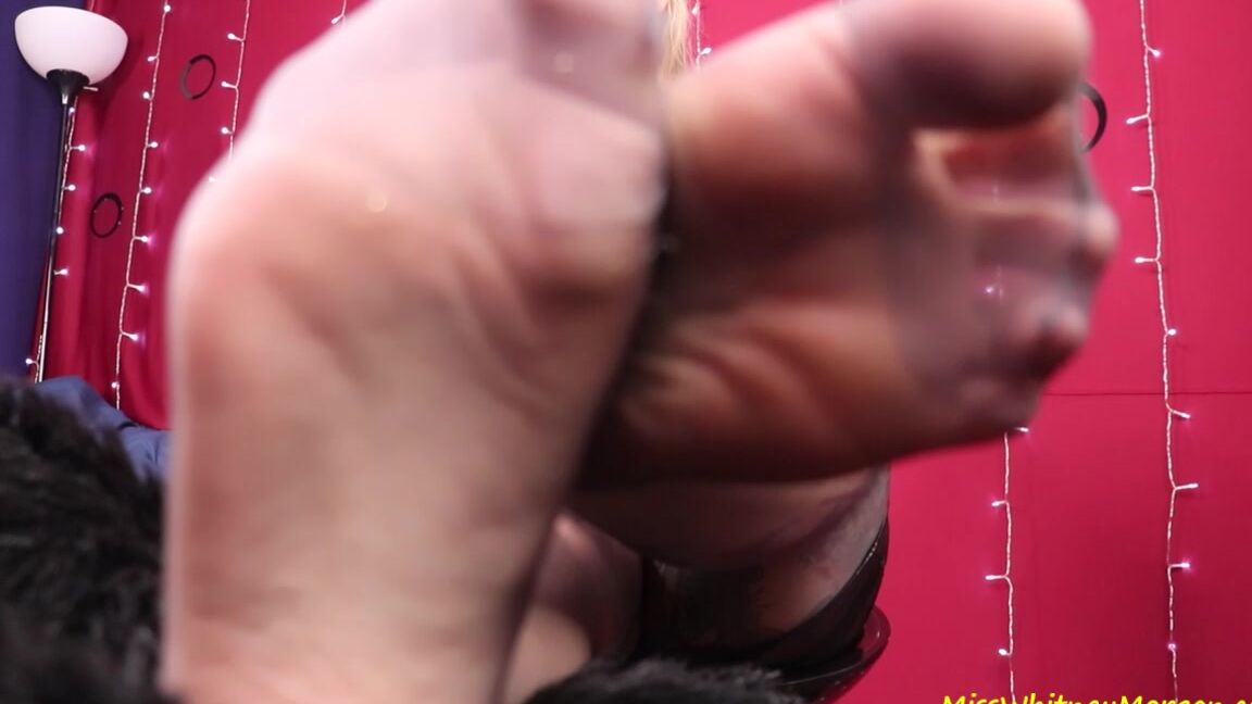 Misswhitneymorgan Whitney Pantyhose Ignore Punishment