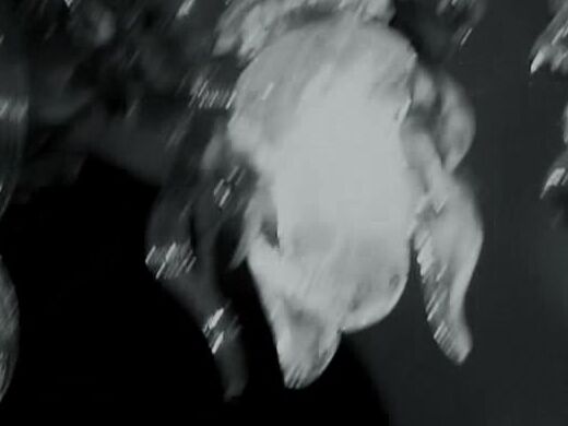 Straight Confessions intimes de Georgia Colmax / Ninn Worx