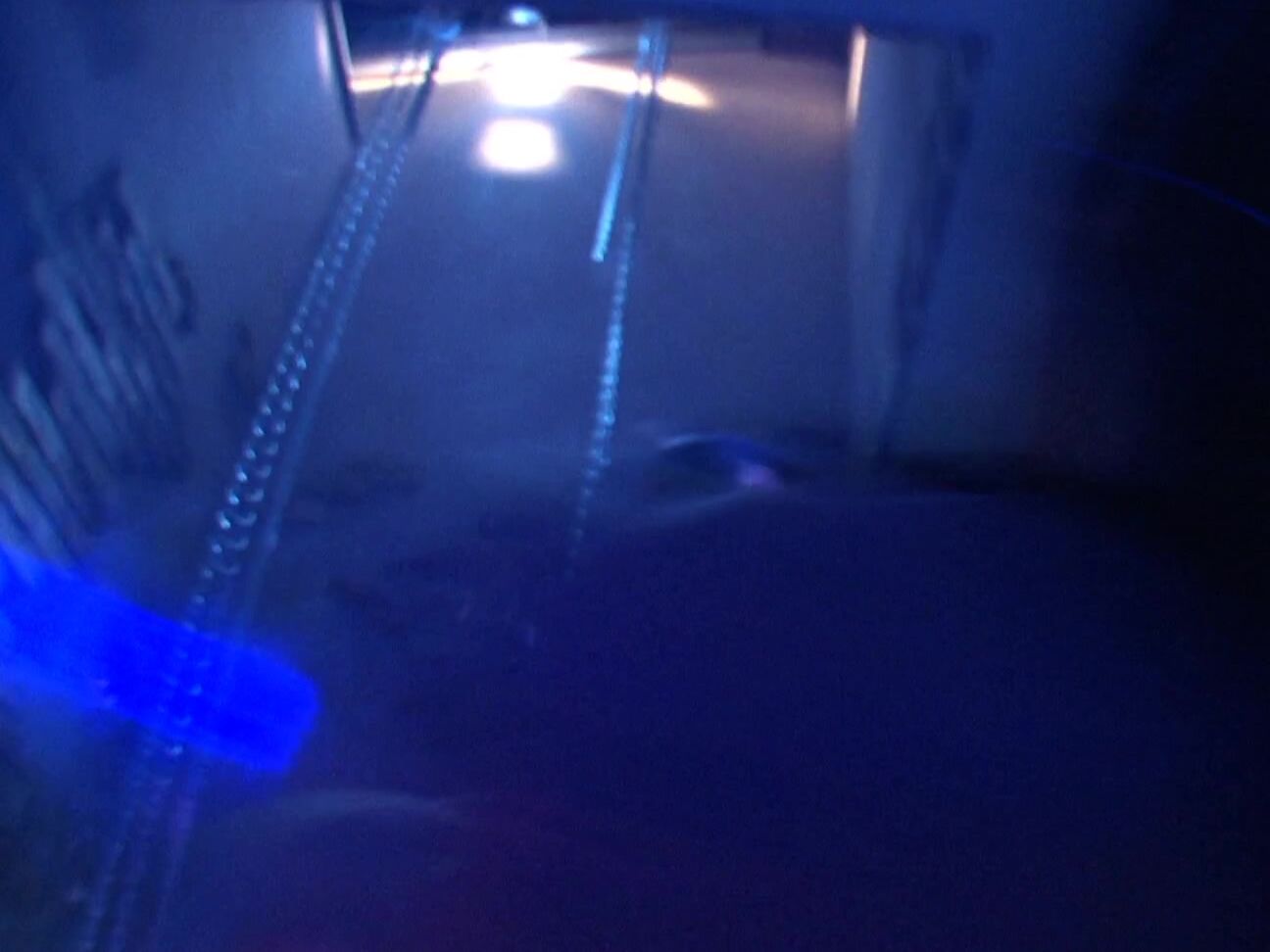 Sandra Romain 2012 Voracious