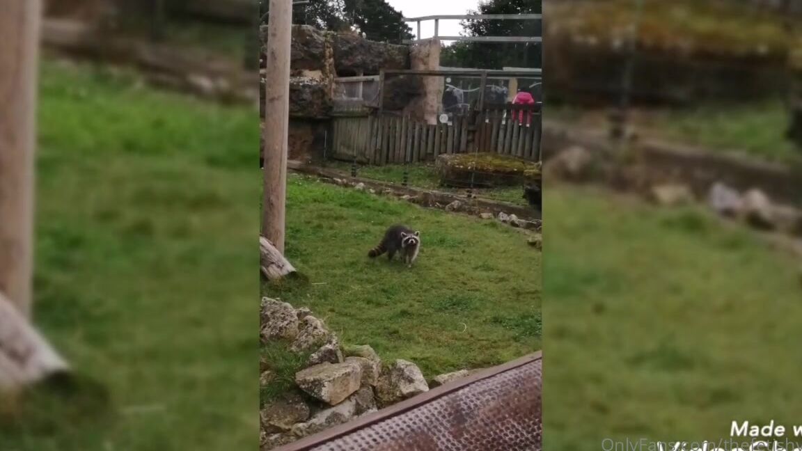 Fetishvixenfatal Chessington World Of Adventures Part