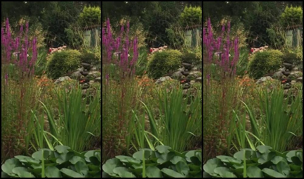 Mistress Eclipse Nicknamed Mistresseeclips Femdom 08 18 2018 Onlyfans Video Pony Treasure Hunt 20 Minutes In