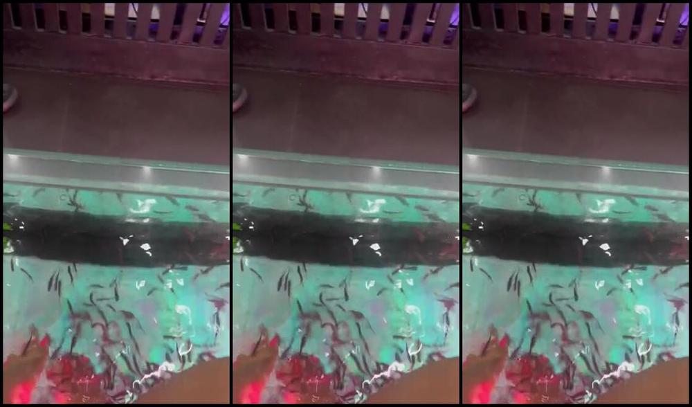 Dissatoes Onlyfans It Tickles Hahaha But It Feels Good First Time Doing This In Thailand 10