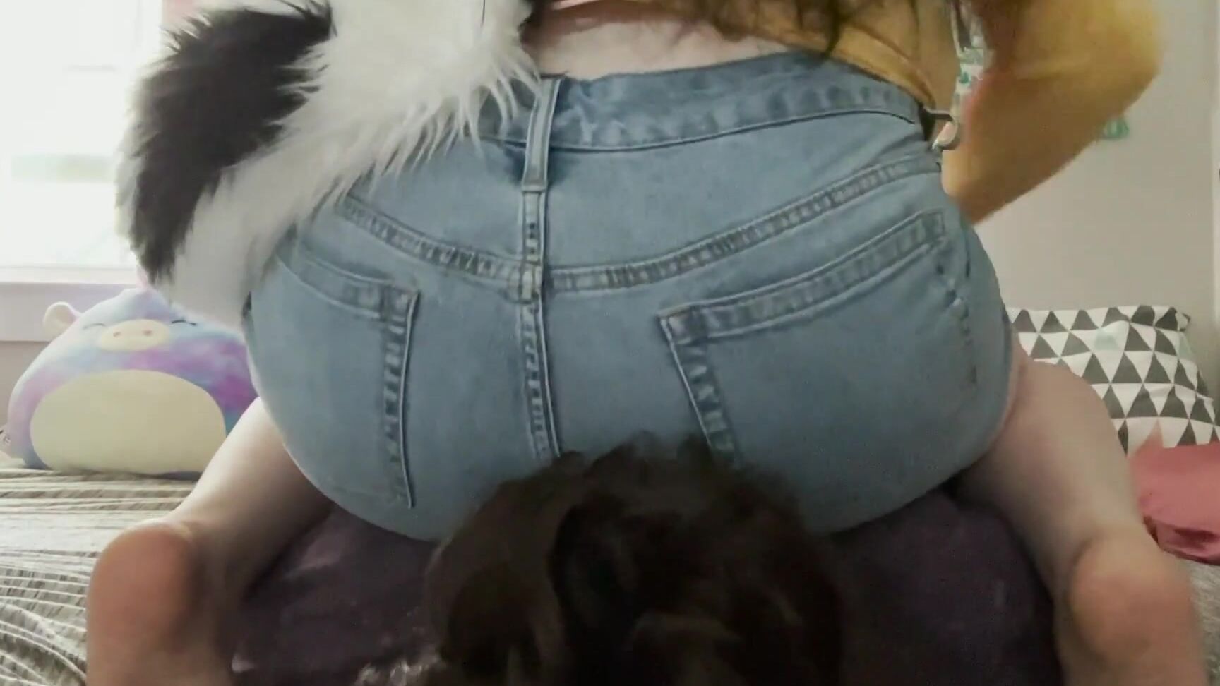 "lilskonk" Fart, Face Farting, Girls Facefarting, Skunkgirl, Stinky Ass, Tight Shorts, Fart In Jeans, Farting, Femdom, Pov, Skunkgirl Fart, Femdom Facesitting, Facesitting, Grossdom, Fart In Shorts, Panty Farts, Suggest lilskonk Skunkgirl farts in sh