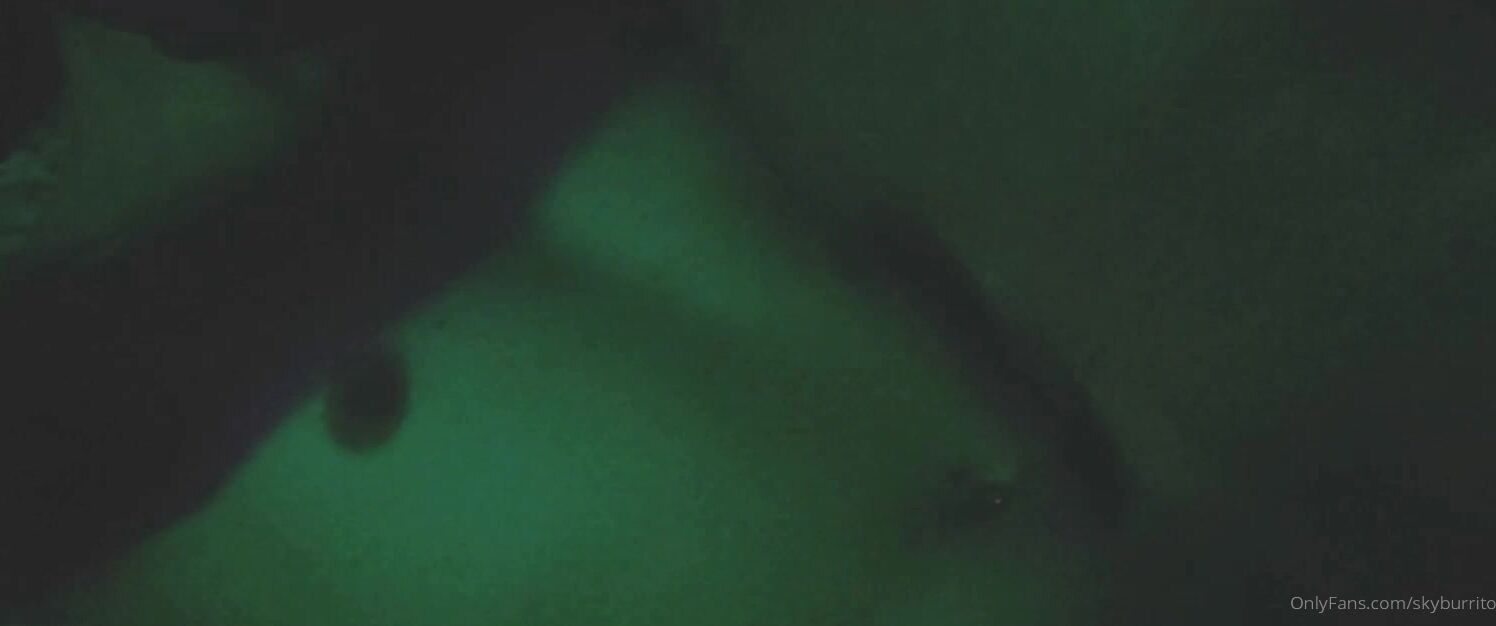 Skyburrito Getting Fucked And My Dick Sucked As A Pup With My Friend Low Quality Lil Vid Because I D