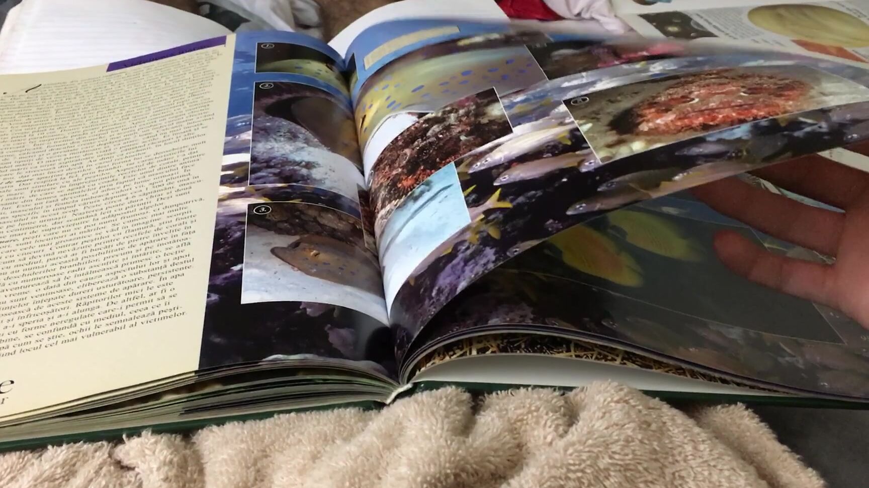 "fap2it" Masturbate, Big Cock, Teenager, Point Of View, Classmate, Uncut, Hairy Legs, Fit Guy, Skinny Guy, Study Break, Sending Nudes, Treasure Trail, Guy Moaning, Bathrobe, Big Balls, Suggest fap2it Vocal Guy Moaning Sent This To Alex Classmate Crus