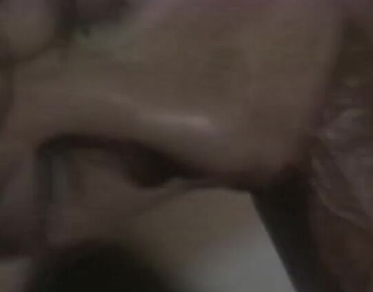 "Chelsea Blake, Janey Robbins, Jill Morehead, Spring Taylor, George Payne, Gerard Damiano (nonsex), Joey Silvera, Kenny Dee, Ron Jeremy, Sally Rose***" All Sex Inside Everybody AVC